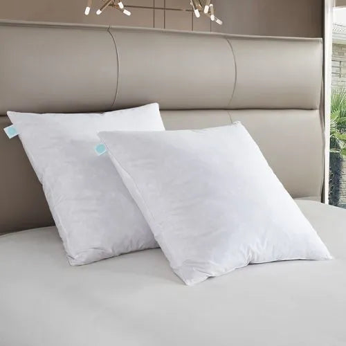 Martha Stewart European Square Feather Firm Pillow 2 Pack