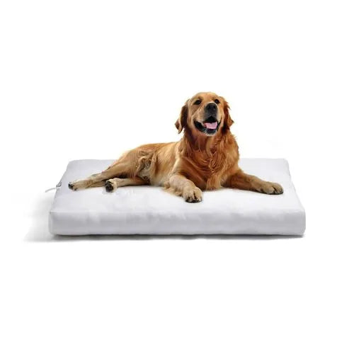 Rectangular Dog Bed Insert