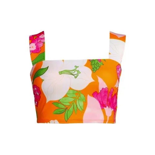 Women's Plus Size Square Neck Bikini Top