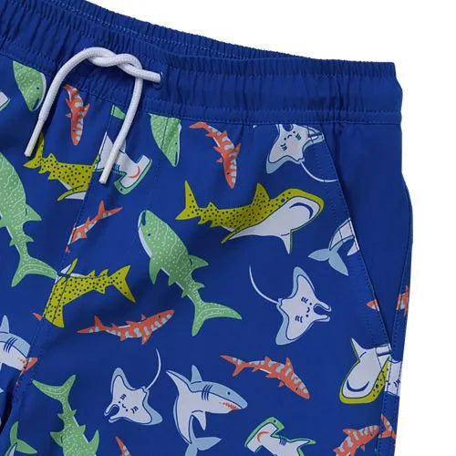 Boys Stretch Hydroliner Sport Swim Trunks