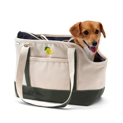 Canvas Dog Tote Carrier