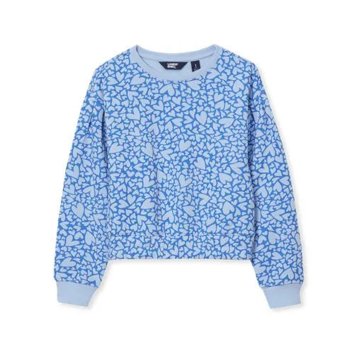 Girls Crew Neck Embroidered Sweatshirt