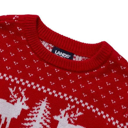Boys Intarsia Holiday Crewneck