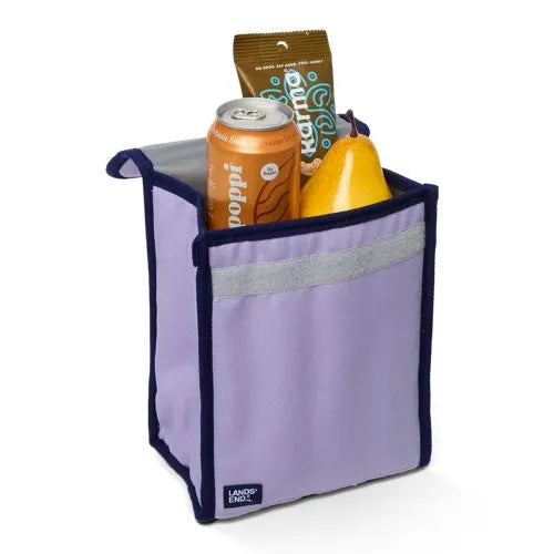 Small Insulated Cooler Bag