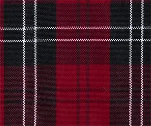 School Uniform Girls Plaid Box Pleat Skirt Top of the Knee