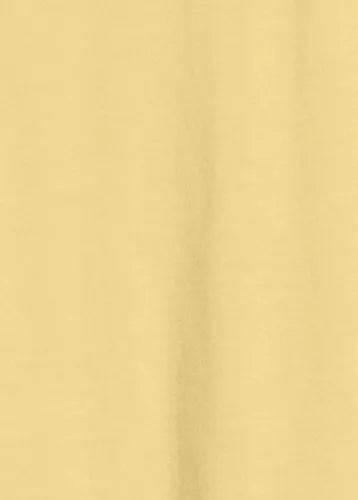 Supima Cotton V-neck T-Shirt