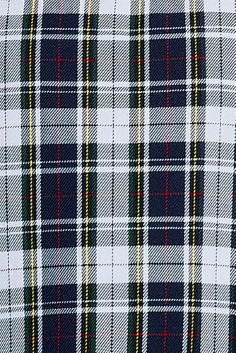Women's Plaid Box Pleat Skirt Top of the Knee