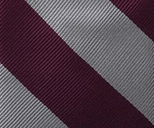 Kids Stripe Pre Tied Tie