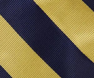 Kids Stripe Pre Tied Tie