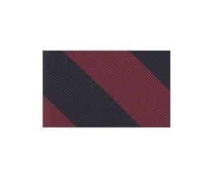 Kids Stripe Pre Tied Tie